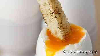 Shoppers urged to check eggs for tiny mark that slashes salmonella risk
