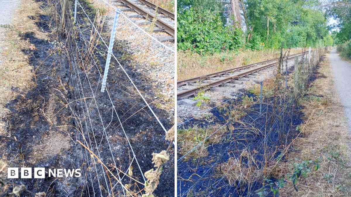 Steam engine trips suspended after two fires