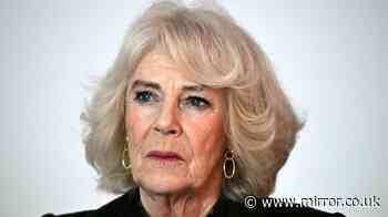 Real Queen Camilla laid bare from 'Andrew power' to Charles heartbreak she bravely hid