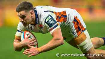 Concerned Springboks accuse All Blacks and Welsh-qualified free agent gets invitation