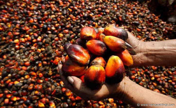 Palm oil import bill rises 194% to N23bn