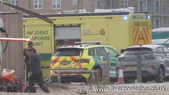 Girl fights for life after three family members die in sea tragedy