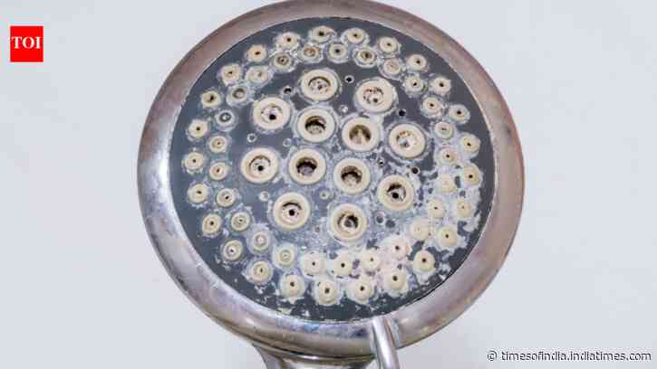 Clean Blocked Showerheads: Citric acid dissolves stubborn limescale; monthly cleaning prevents clogs