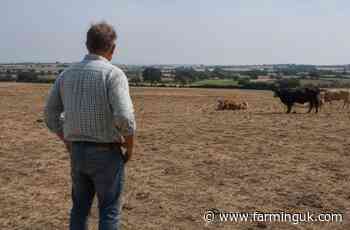 Farmers warned of legal risks from drought and heatwaves