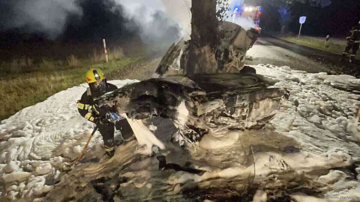 19-Jähriger rast gegen Baum – BMW geht in Flammen auf