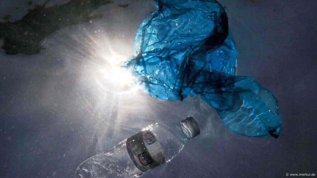Mikroplastik verteilt Schadstoffe im Meer – Forscher entdecken gefährlichen Doppel-Effekt