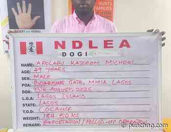 Throwback: KC Luxury’s lavish lifestyle resurfaces online after NDLEA arrest