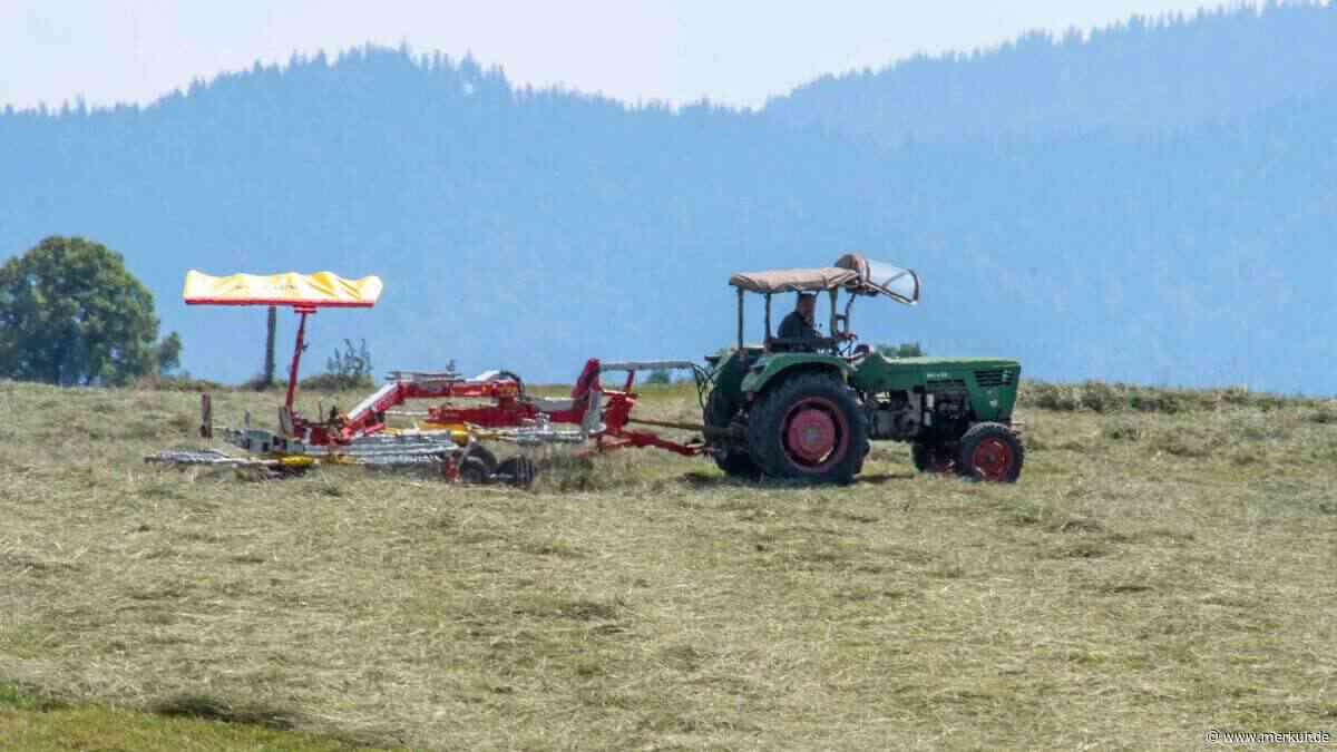 Landkreis Miesbach: Dürre schlägt auf Ernte durch