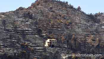 Spain and France battle wildfires as 17,000 hectares burn in Aragon