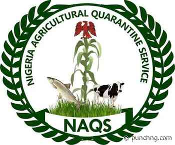 NAQS releases recruitment shortlist, fixes CBT for August 20