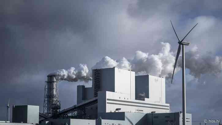 Nederlandse kolencentrales draaien weer volop, veel stroom naar het buitenland