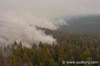 Wildfire near Summerland, B.C., remains active as residents return
