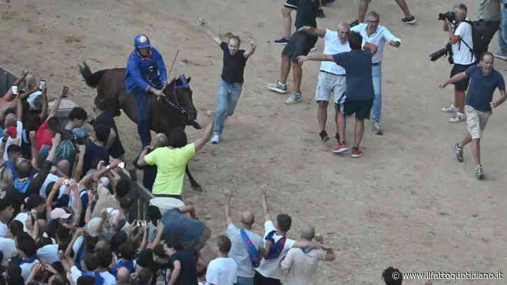 Palio di Siena: fantino e cavallo travolti dalla folla dopo il successo del Nicchio. Tittia resta ricoverato in ospedale