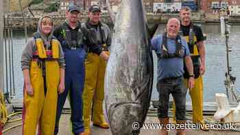 Massive bluefin tuna caught in North Sea off Whitby coast for first time in 90 years