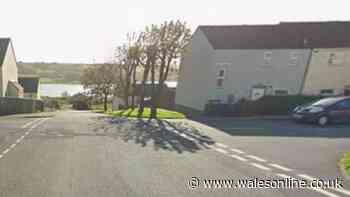 Man hurt in alleged attempted robbery in Pembroke Dock