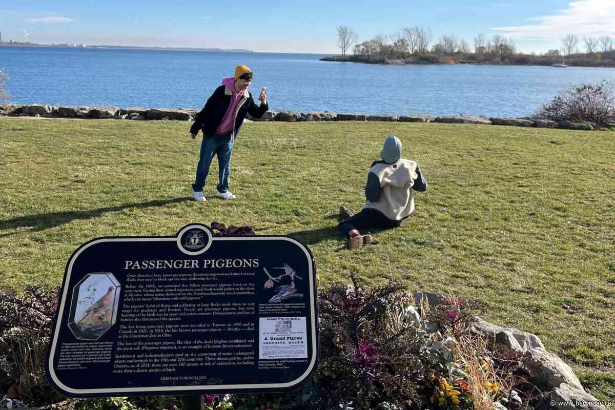 Heritage Toronto's Plaque Friday videos showcase city's history with viral moments