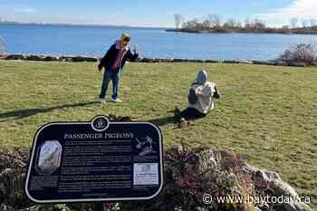 Heritage Toronto's Plaque Friday videos showcase city's history with viral moments