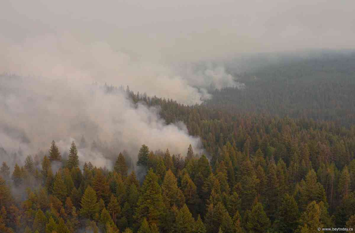 Wildfire near Summerland, B.C., remains active as residents return