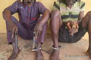 Police arrest two robbery suspects, recover three pistols in Ogun