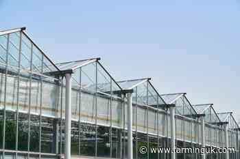 Calls for UK horticulture boost as climate risks threaten imports