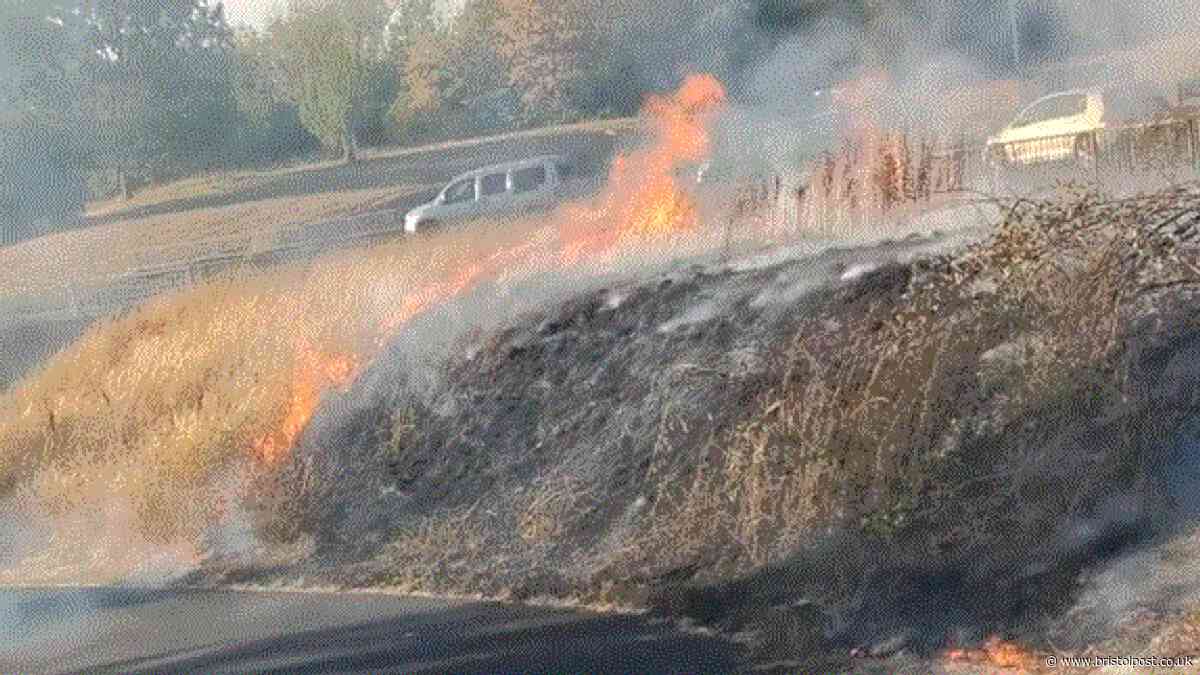 'Deliberate' fire scorches grass verge by busy South Bristol road