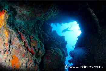 Little Cayman Landowners Challenge UNESCO Bid Over Fears of Tighter Development Rules