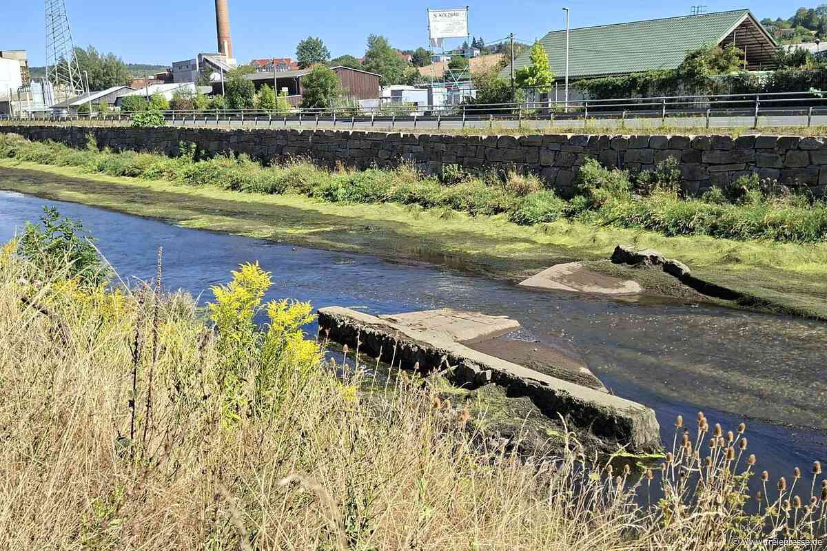 Alte Brückenfundamente liegen frei: Warum die Weiße Elster in Plauen so wenig Wasser führt