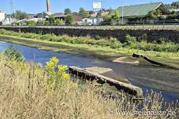 Alte Brückenfundamente liegen frei: Warum die Weiße Elster in Plauen so wenig Wasser führt