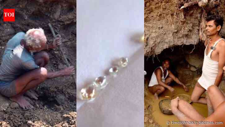 For just ₹200, you can lease a small diamond mine in Panna; some ordinary miners have walked out with gems