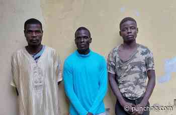 Police kill two bandits, arrest 11 suspects in Sokoto