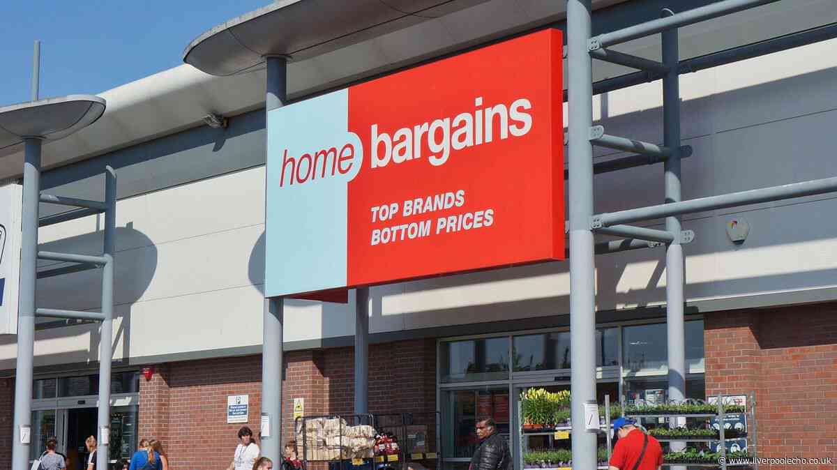 Home Bargains reduces £70 camera to £15 'perfect for travel'