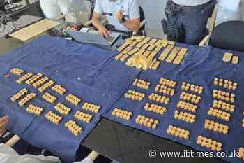 Student Finds 49 Gold Bars and 4,000 Coins Worth $10.5M in First Week at Work: Police Seize Treasure