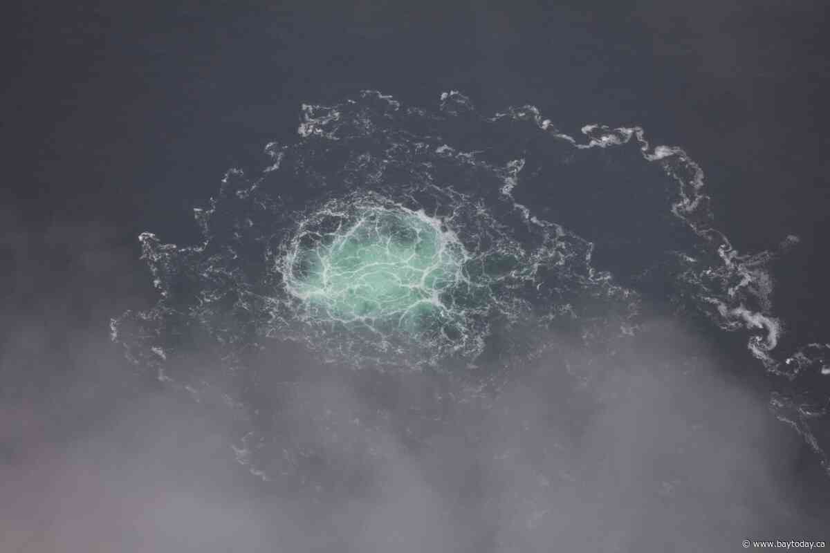Ukrainian man arrested over undersea explosions that damaged gas pipelines in 2022