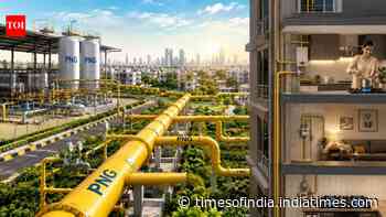 PNG push: Govt to offer distributors extra lower-priced domestic natural gas for every new connection