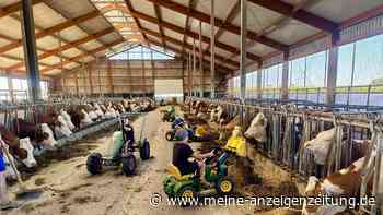 20 Kinder mahlen Getreide und füttern Kälber auf dem Bauernhof