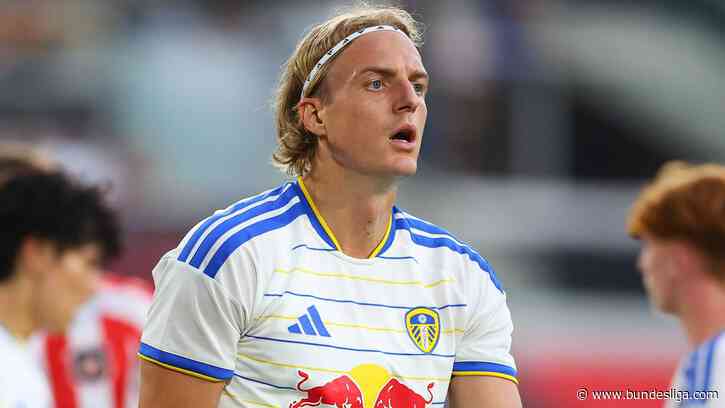 Hamburg snap up defender Sebastiaan Bornauw from Leeds United