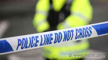 Two teens arrested over Christmas Day 'murder' as man, 81, found dead after 'fire'
