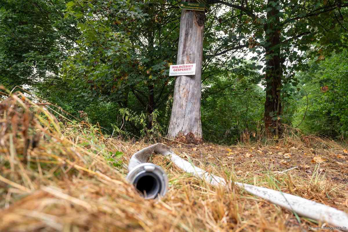 Gute Nachricht aus dem „Schwarzen Holz“ in Plauen: Feuerwehr beendet Löscharbeiten