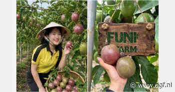 Vietnam zet in op premium passiefruit voor Europa