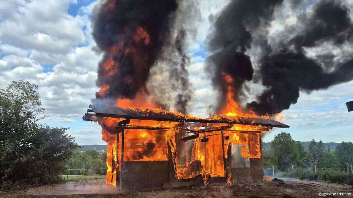 Feuer im Futterunterstand: Alle Tiere gerettet