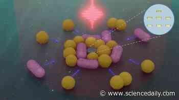 Tiny robots powered by light can hunt down and collect bacteria