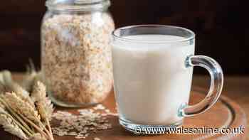 I tried supermarket oat milks and found 2 that beat Alpro and Oatly on taste and price