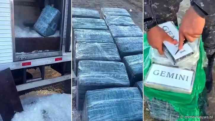 Broers gepakt met ruim 1000 kilo blokken cocaïne verstopt onder stinkende vis in vrachtwagen
