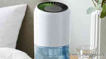 Shoppers rush to buy Martin Lewis-approved solution to tackle indoor damp and mold fast