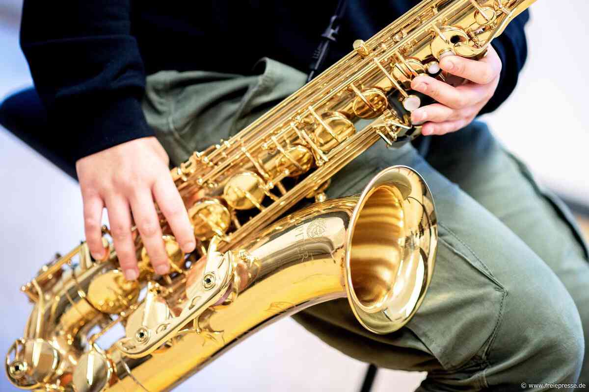Musikschule Mittelsachsen: Freie Unterrichtsplätze für Holzblasinstrumente