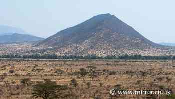 Kenya helicopter crash - live: Safari chopper 'carrying 7 tourists' crashes in Samburu