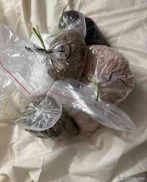 Four Nigerians arrested in India over drug trafficking