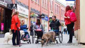 Bus pass change will 'remove barriers' says North East disability rights group