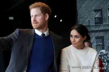 Prince Harry, Meghan Markle Reportedly Lost to Cat Videos Because They Lack 'Paying Customers' Now
