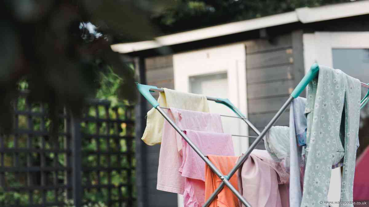 Welsh households drying laundry outside issued important message